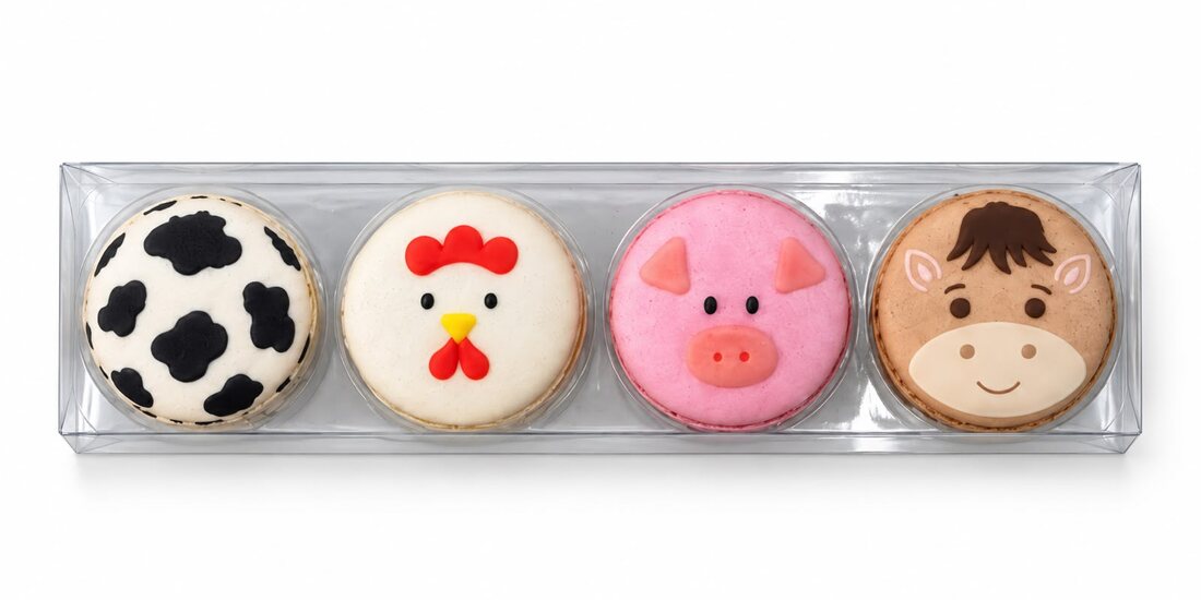 Caixa com 4 Macarons Art